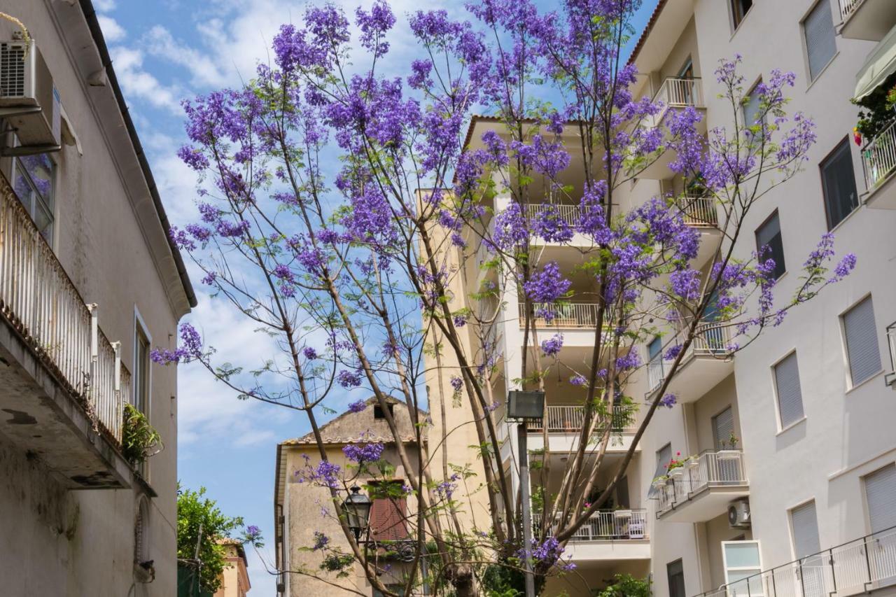 Sorrentovibes - Luxury Four Bedroom Home With Amazing Terraces In ソレント エクステリア 写真